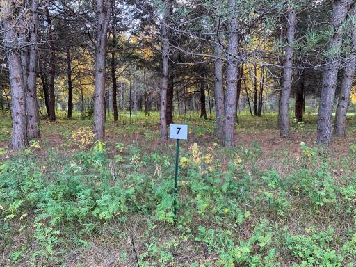LOT7 BLK2 Owl Avenue, Aitkin, MN 56431