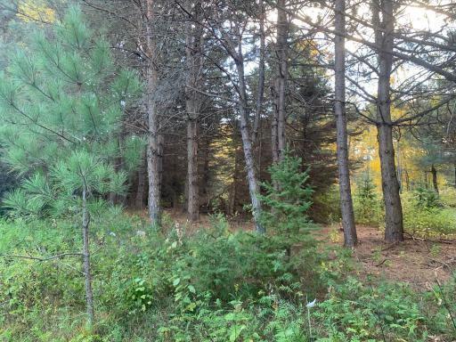 LOT9 BLK2 Owl Avenue, Aitkin, MN 56431