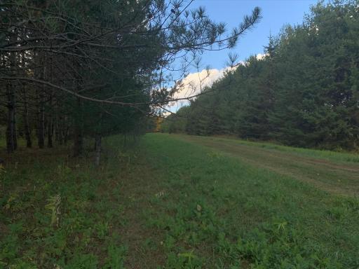 LOT9 BLK2 Owl Avenue, Aitkin, MN 56431