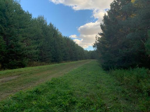 LOT9 BLK2 Owl Avenue, Aitkin, MN 56431