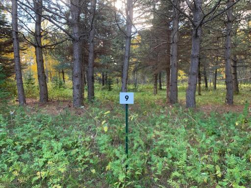LOT9 BLK2 Owl Avenue, Aitkin, MN 56431