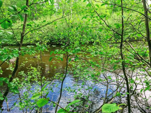 Lot 4 Sundling Road, Winter, WI 54896