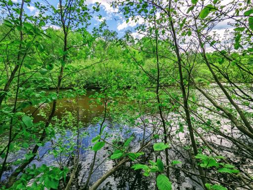 Lot 4 Sundling Road, Winter, WI 54896