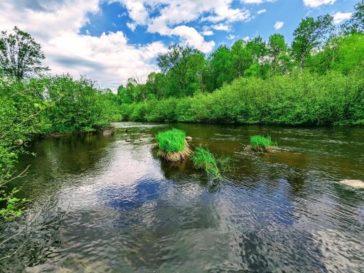 Lot 4 Sundling Road, Winter, WI 54896