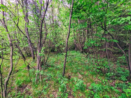 Lot 4 Sundling Road, Winter, WI 54896