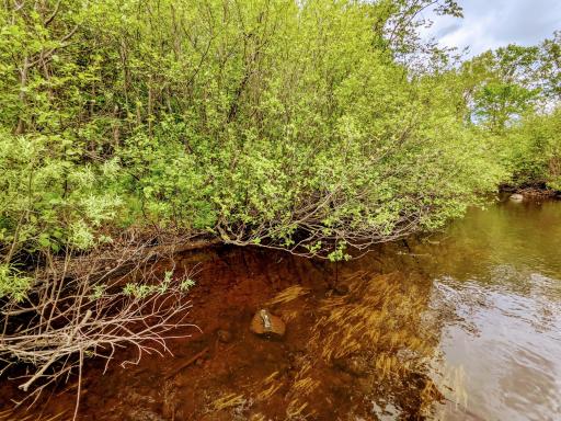 Lot 4 Sundling Road, Winter, WI 54896