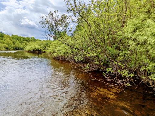 Lot 4 Sundling Road, Winter, WI 54896