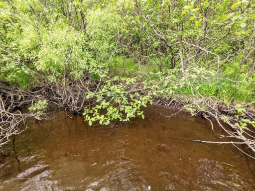 Lot 4 Sundling Road, Winter, WI 54896