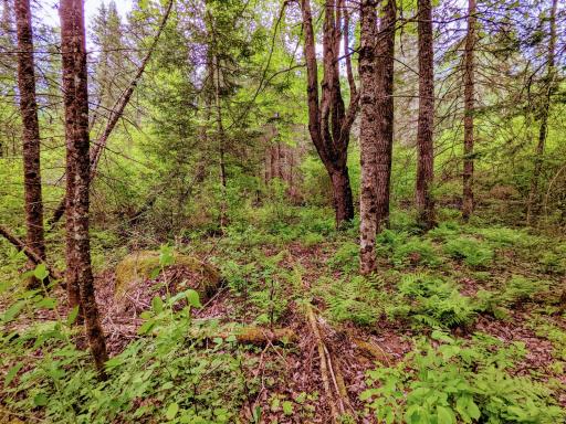 Lot 4 Sundling Road, Winter, WI 54896