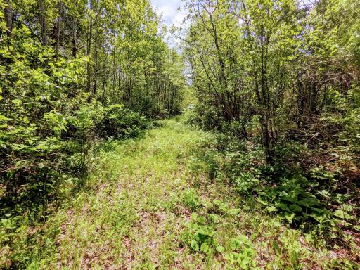 Lot 4 Sundling Road, Winter, WI 54896