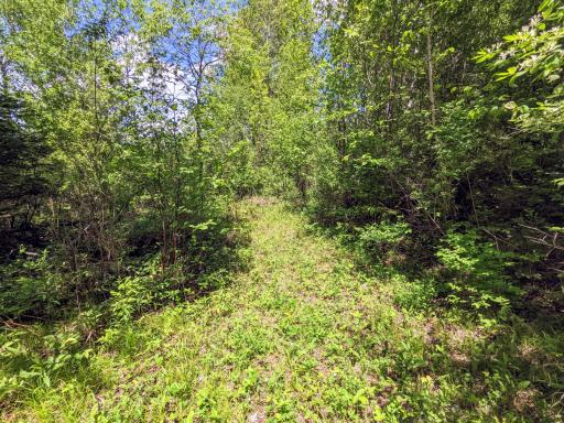 Lot 4 Sundling Road, Winter, WI 54896