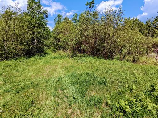 Lot 4 Sundling Road, Winter, WI 54896