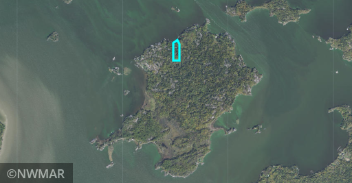 Lot 5 Flag Island, Angle Inlet, MN 56741