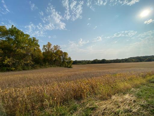 8926 75th Street NW, Byron, MN 55920