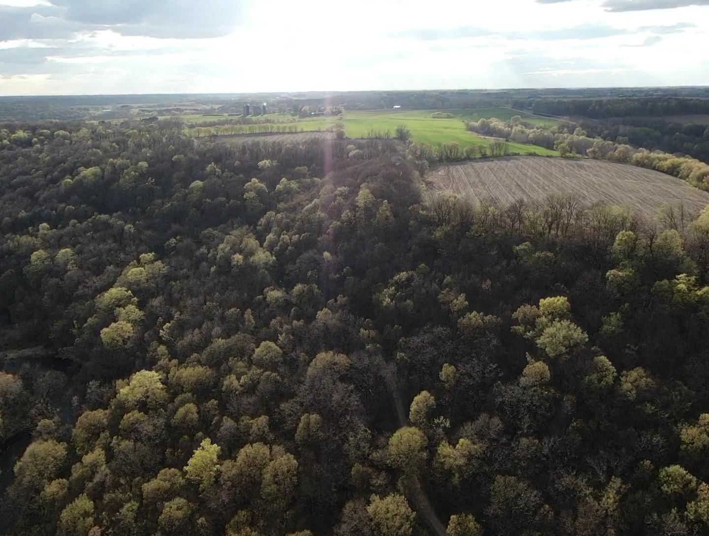 screen_81377dfb81aa9e41_1618701554650