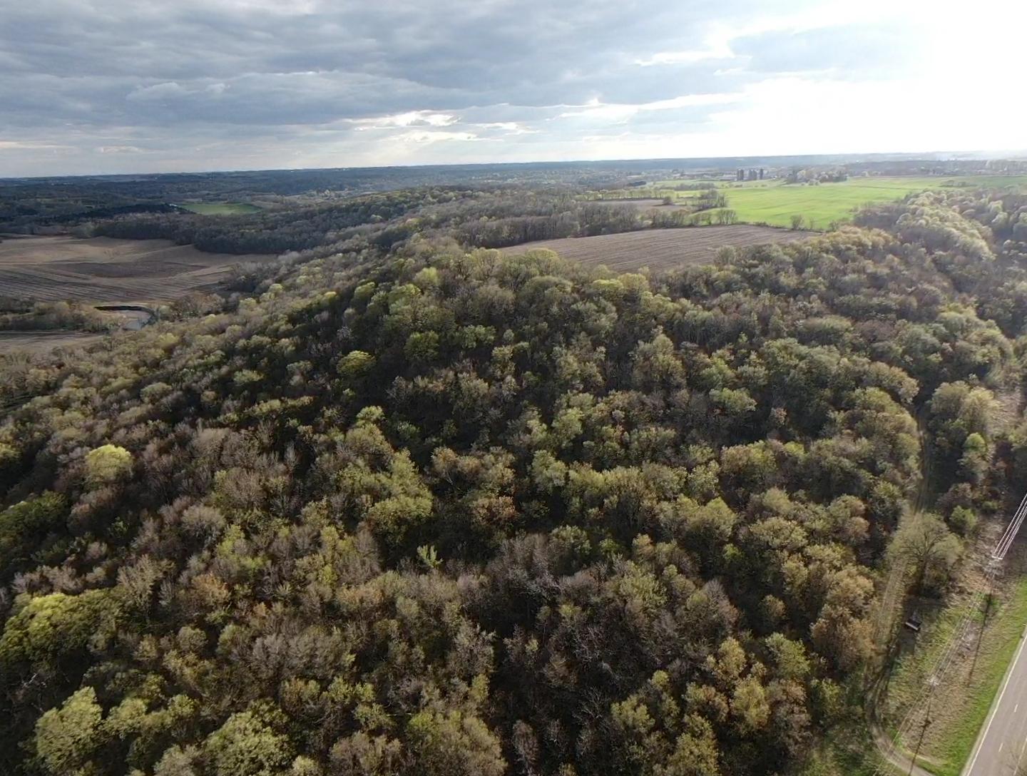 screen_9e3c214cd4b0c82a_1618701457400