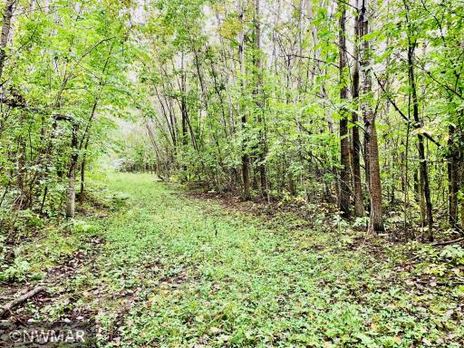 Photo for 3364 28th Street NW, Baudette, MN 56623 - Listing #6262072 3364 28th Street NW, Baudette, MN 56623
