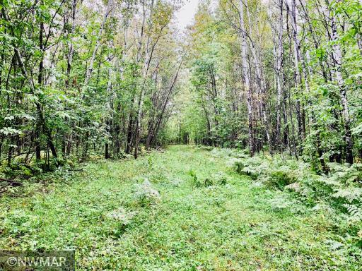 Photo for 3364 28th Street NW, Baudette, MN 56623 - Listing #6262072 3364 28th Street NW, Baudette, MN 56623