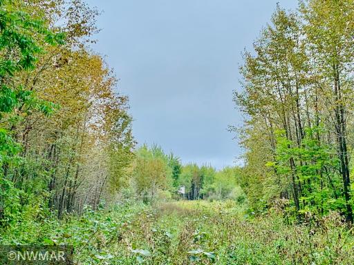 Photo for 3364 28th Street NW, Baudette, MN 56623 - Listing #6262072 3364 28th Street NW, Baudette, MN 56623