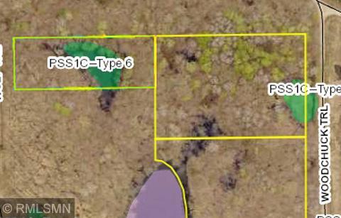 Aerial - this listing is the top 2 parcels together. Wetlands are labeled with green areas. The lower outline is MLS# 5745819