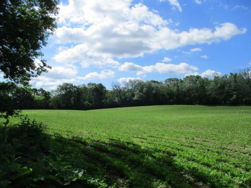 This property is in a perfect location. Close to everything; but a very private area!!