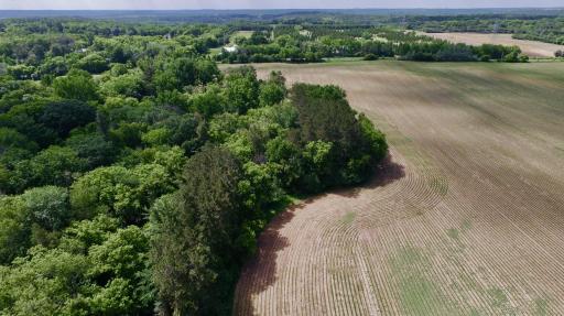 From the North central part of the property looking South.