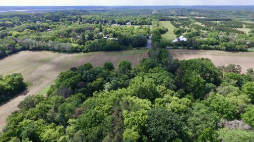 From the North central part of the property, looking straight South.