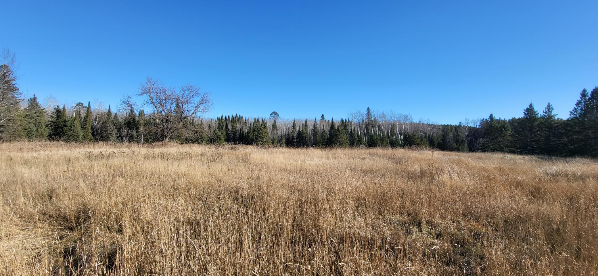 Photo for 2105 County Road 66, Gheen, MN 55771 - Listing #6462091 2105 County Road 66, Gheen, MN 55771