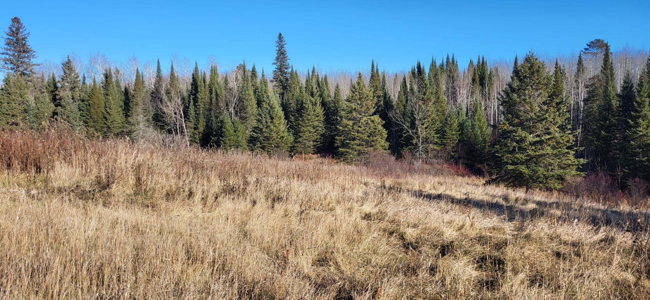 Photo for 2105 County Road 66, Gheen, MN 55771 - Listing #6462091 2105 County Road 66, Gheen, MN 55771
