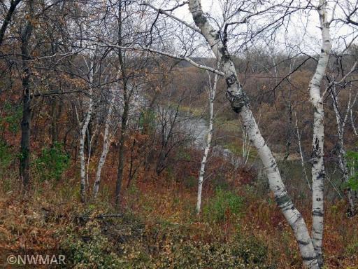 Photo for 19075 State Hwy 32 SE, Red Lake Falls, MN 56750 - Listing #6274092 19075 State Hwy 32 SE, Red Lake Falls, MN 56750