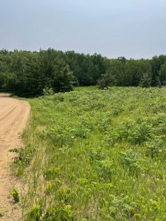 XXX Outing CT, Browerville, MN 56438