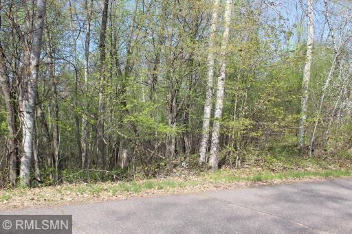 xxx Indianhead Shores Drive, Balsam Lake, WI 54810
