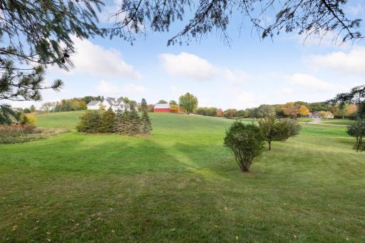 The current owners host an annual fathers & sons whiffle ball tournament in the open field every 4th of July. With this much space, there is plenty of room to run!