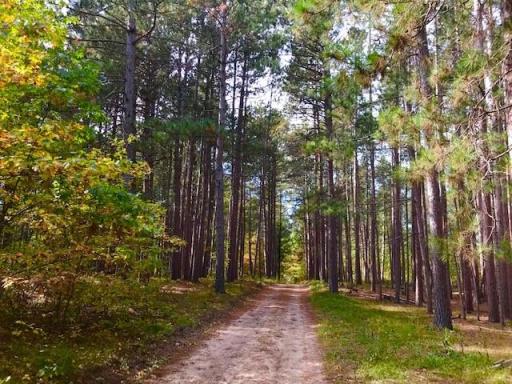 7508 350th Street, Cushing, MN 56443