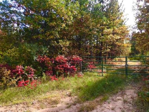 7508 350th Street, Cushing, MN 56443