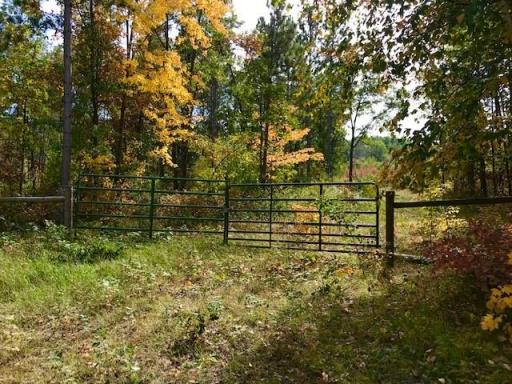 7508 350th Street, Cushing, MN 56443