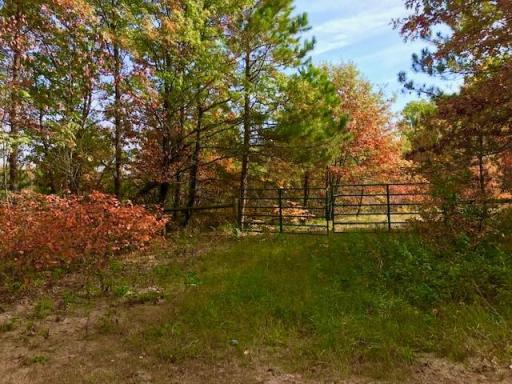 7508 350th Street, Cushing, MN 56443