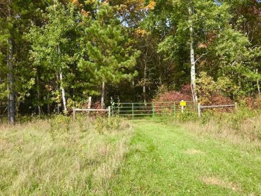 7508 350th Street, Cushing, MN 56443