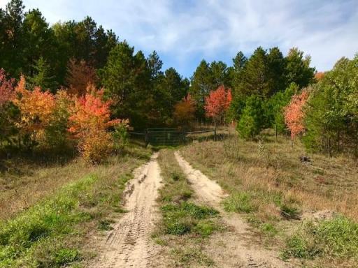 7508 350th Street, Cushing, MN 56443