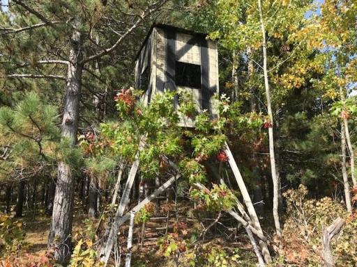 7508 350th Street, Cushing, MN 56443