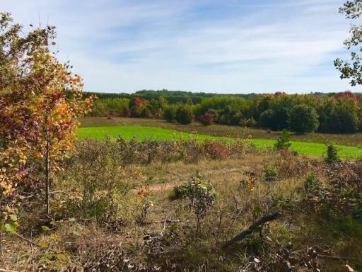7508 350th Street, Cushing, MN 56443