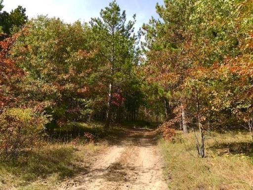 7508 350th Street, Cushing, MN 56443