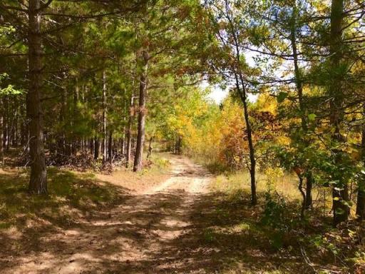 7508 350th Street, Cushing, MN 56443