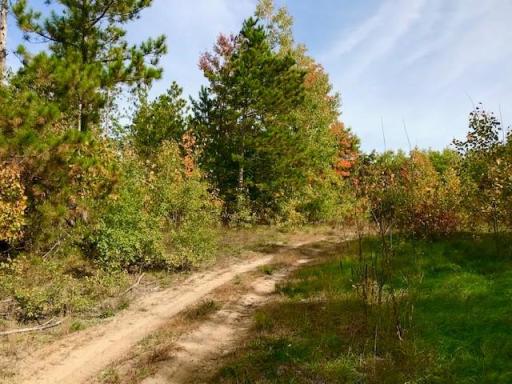7508 350th Street, Cushing, MN 56443
