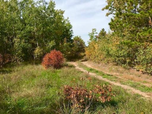 7508 350th Street, Cushing, MN 56443