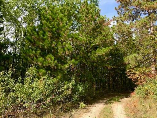 7508 350th Street, Cushing, MN 56443