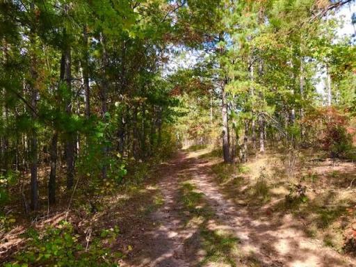 7508 350th Street, Cushing, MN 56443