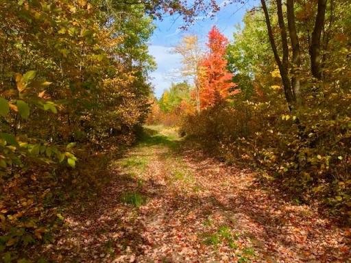 7508 350th Street, Cushing, MN 56443