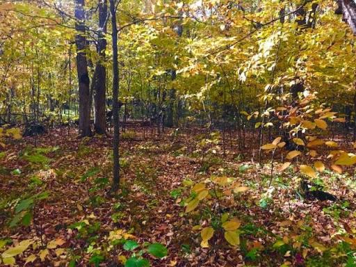 7508 350th Street, Cushing, MN 56443