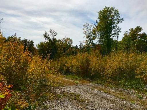 7508 350th Street, Cushing, MN 56443